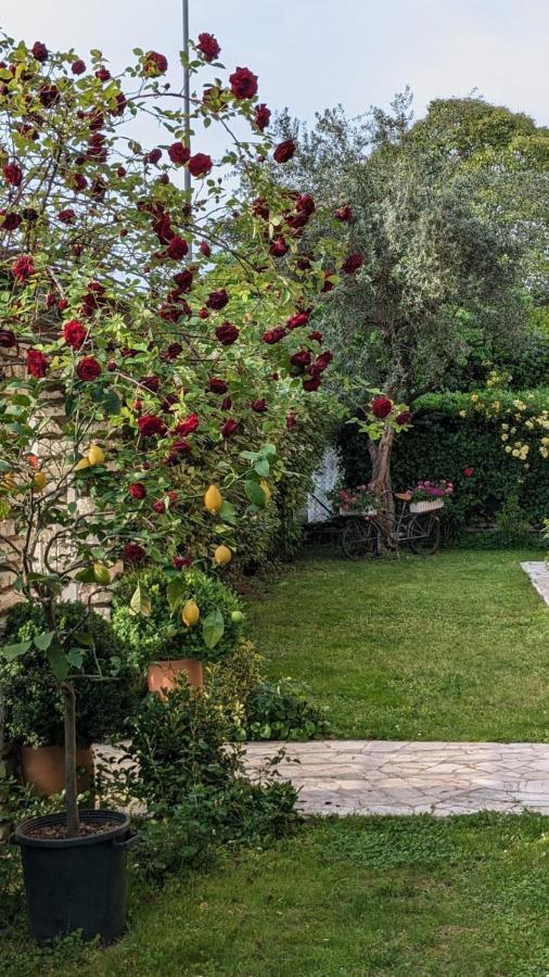 Bed & Breakfast Agli Aceri Верона Экстерьер фото