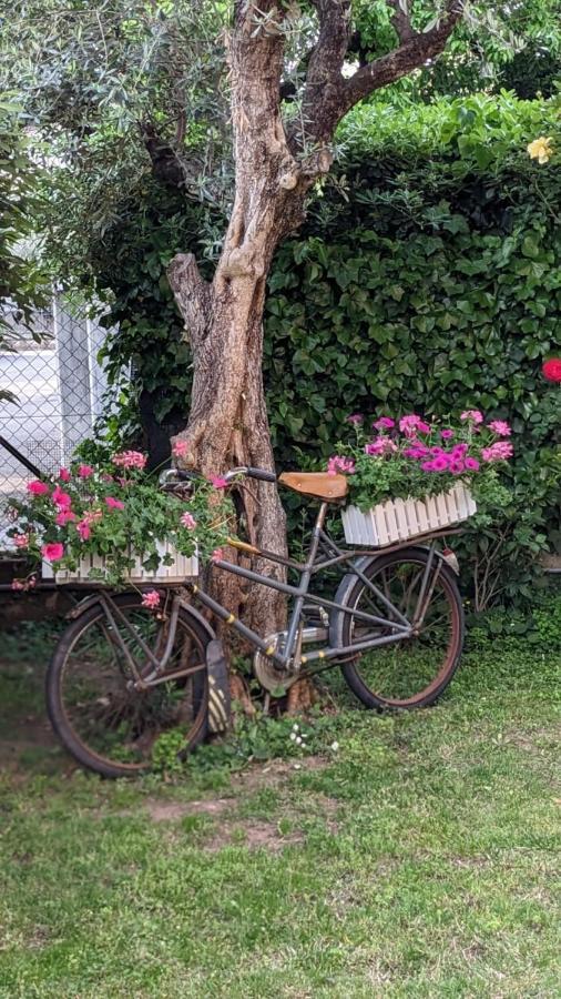 Bed & Breakfast Agli Aceri Верона Экстерьер фото